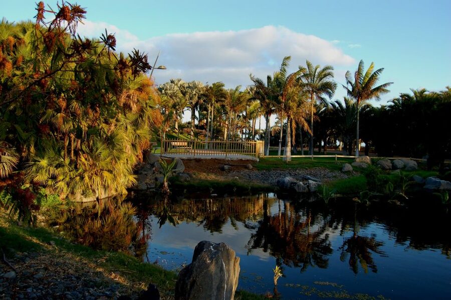 Santa Cruz de Tenerife Palmetum Entry Ticket - A Landfill That Became a Palm Garden You’ll Want to Walk Slowly