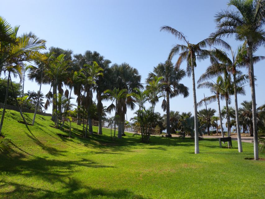 Santa Cruz de Tenerife Palmetum Entry Ticket - Water Features, Volcanic Rocks, and the Walk’s Natural Rhythm
