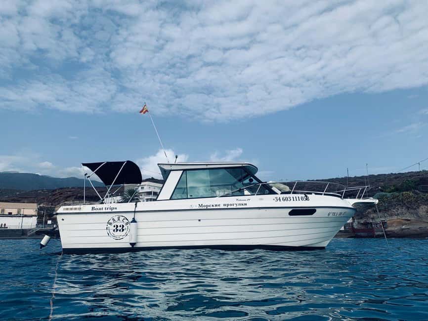 Santa Cruz de Tenerife: Private Family Fishing Tour - Quick tips to make the day smoother