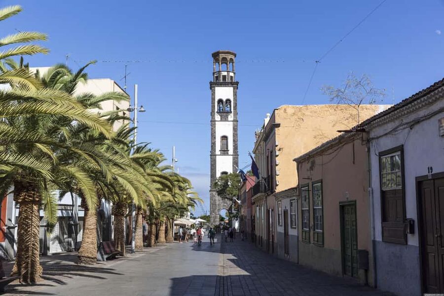 Santa Cruz de Tenerife: walking tour with an expert local guide - Plaza de Europa to the Nuestra Señora de África Market: food, color, and daily life