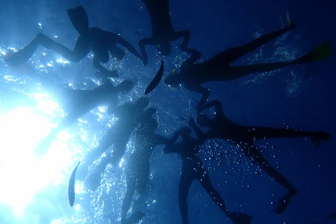 Scuba Adventure – 2 Guided Dives from Our Boat in Tenerife - Getting Oriented: Paradise Divers and a Calm 8:30 Start