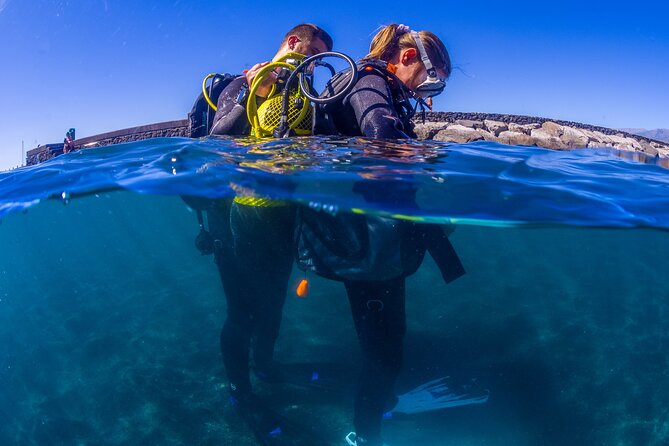 Scuba Diving Baptism Experience in Santa Cruz Tenerife - Santa Cruz Tenerife, in 3 hours: why this intro works