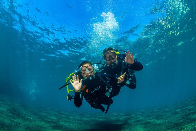 Scuba Diving Baptism Experience in Santa Cruz Tenerife - Getting ready: arrival, equipment basics, and real safety habits
