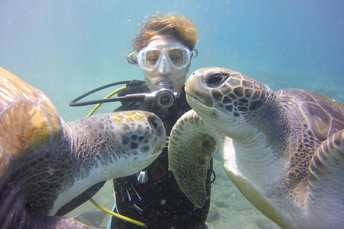 Scuba Diving Beginner's Session in Costa Adeje - A first-time scuba try in Costa Adeje (and what happens to your nerves)