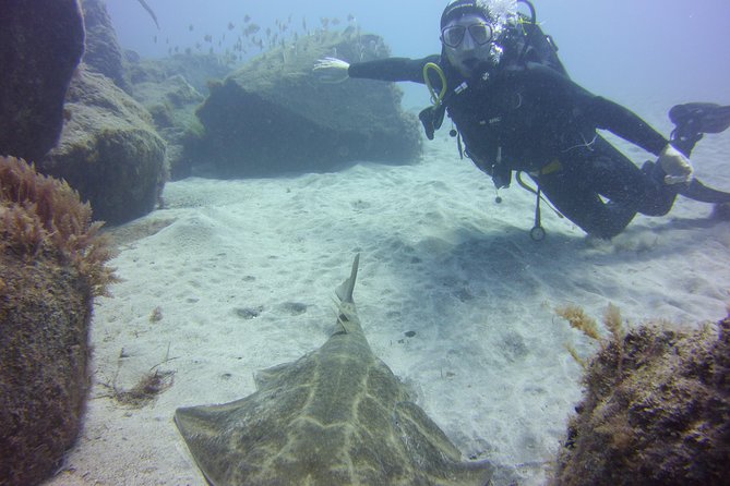 Scuba Diving Beginner's Session in Costa Adeje - The training portion: skills, safety, and the step-before-depth feeling