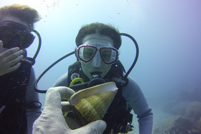 Scuba Diving Beginner's Session in Costa Adeje - The main underwater excursion: up to 45 minutes and 12 meters