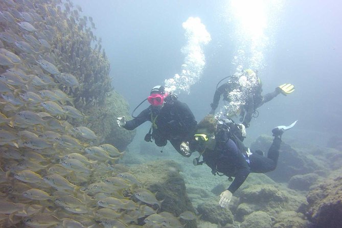Scuba Diving Beginner's Session in Costa Adeje - Instructors, small groups, and the safety vibe