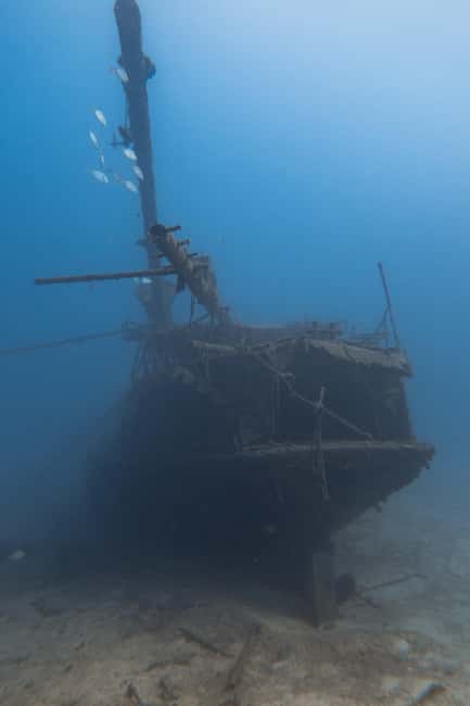 Scuba Diving trips for Certified Divers in Tenerife - Price, Value, and How to Plan Your Tenerife Day