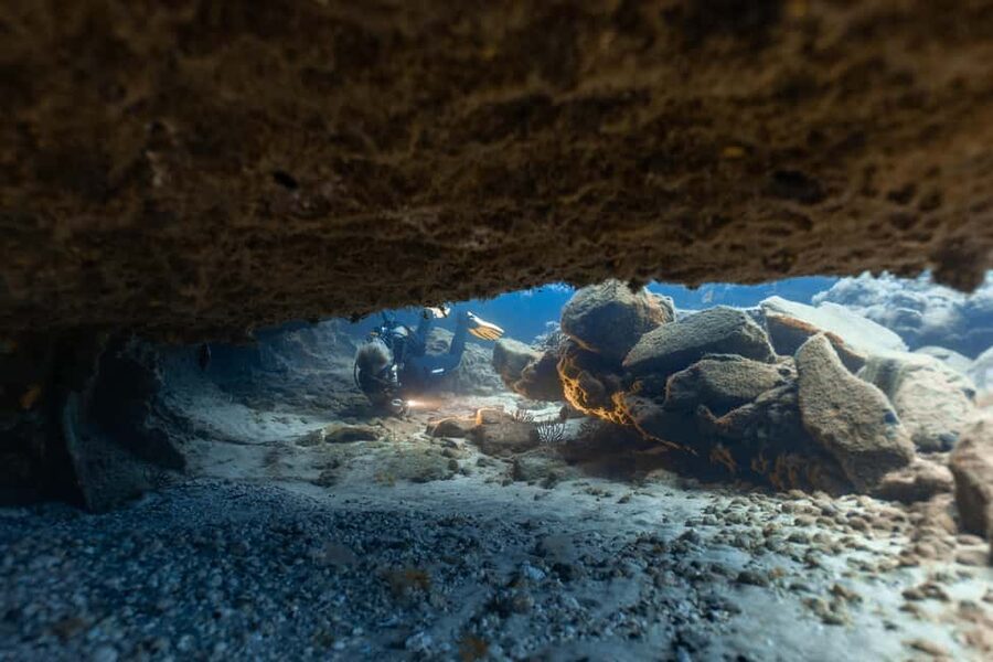 Scuba Diving trips for Certified Divers in Tenerife - Group Size, Staff Energy, and the Little Things That Matter