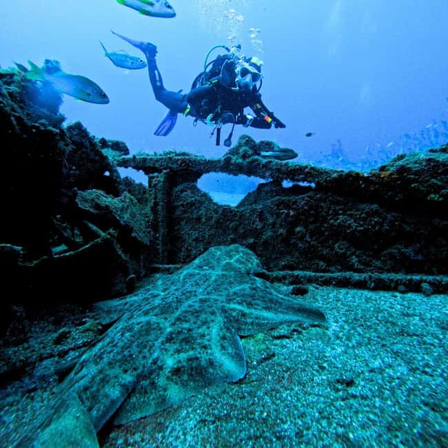 Scuba Diving trips for Certified Divers in Tenerife - Who Should Book, and Who Should Skip