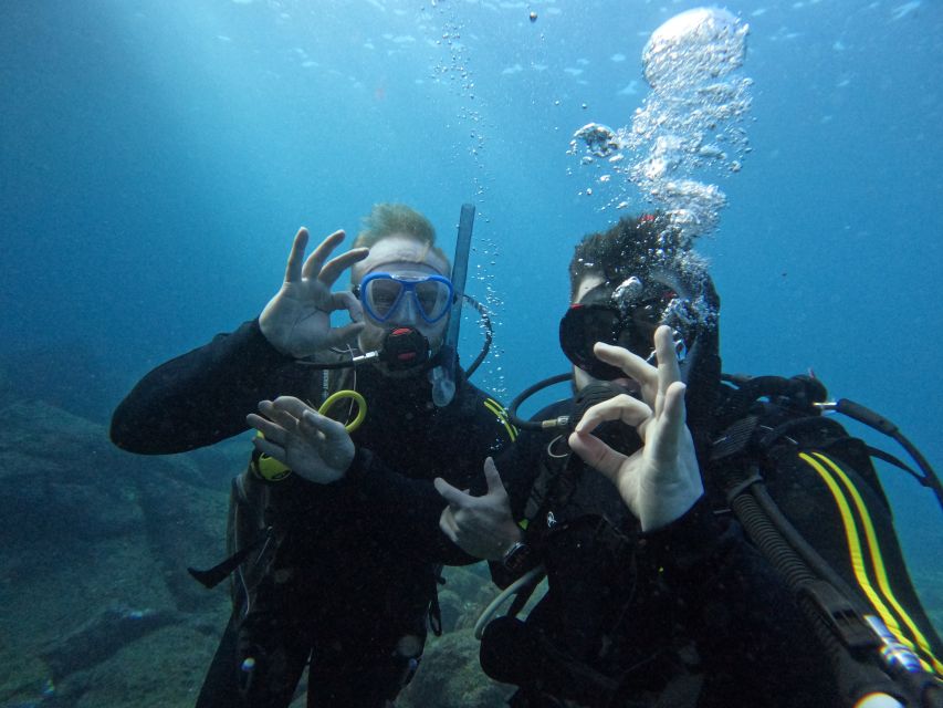 Scuba Diving trips for Certified Divers in Tenerife - The 150-Minute Schedule: What Happens When