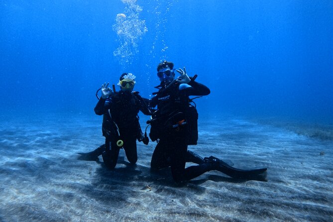 Scuba Experience in Tenerife with Guide - Key things that make this Try Scuba stand out
