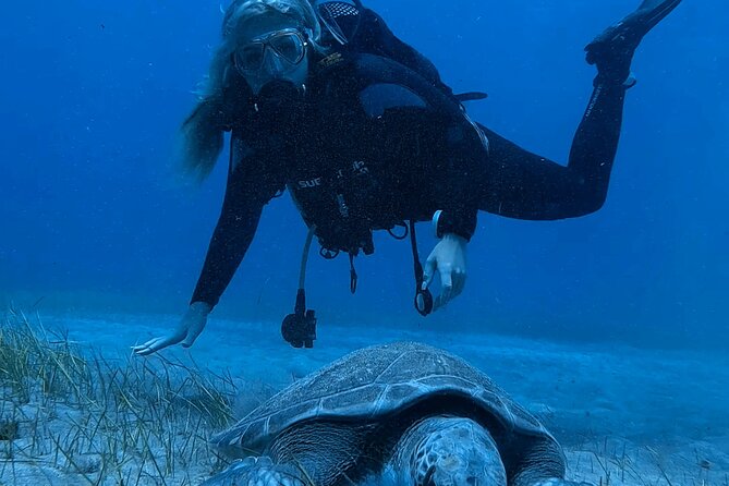 Scuba Experience in Tenerife with Guide - What the 3-hour plan actually feels like