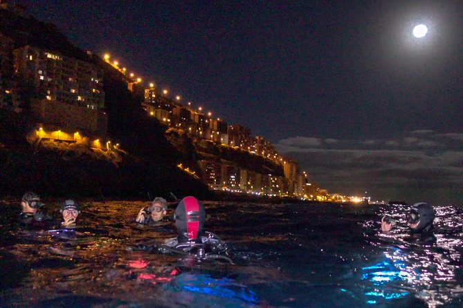 Scuba Night Dive on Tenerife - Key Highlights Worth Your Time