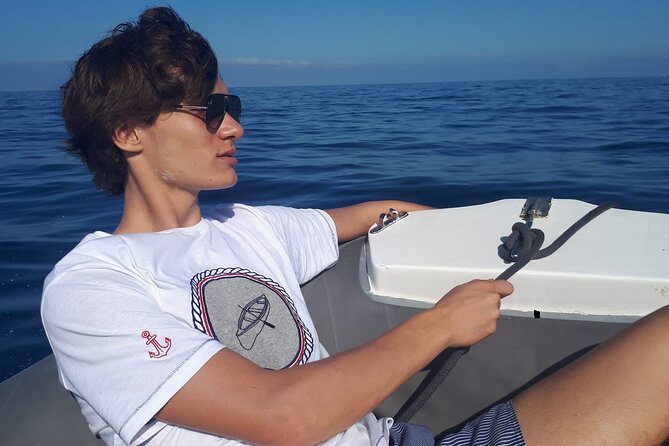 SEA SAFARI Dolphins, Whales, 3h speedboat DISCOVERY-TOUR - Speedboat wildlife time: what the 3 hours is really like