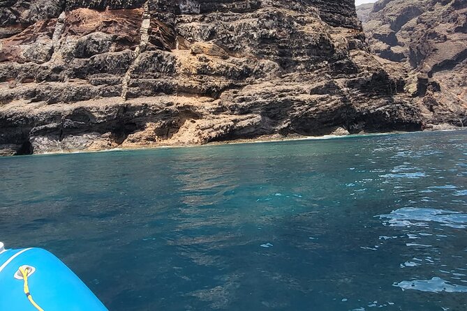 SEA SAFARI Dolphins, Whales, 3h speedboat DISCOVERY-TOUR - Trying the BladeFish underwater propulsion jet device