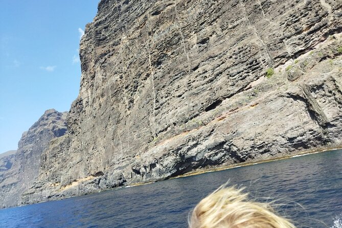 SEA SAFARI Dolphins, Whales, 3h speedboat DISCOVERY-TOUR - Food and drinks onboard: less planning, more time enjoying