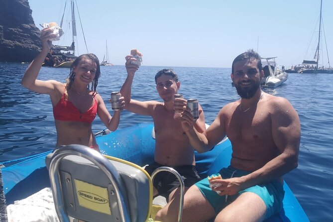 SEA SAFARI Dolphins, Whales, 3h speedboat DISCOVERY-TOUR - Price and value: is $78.10 a good deal?