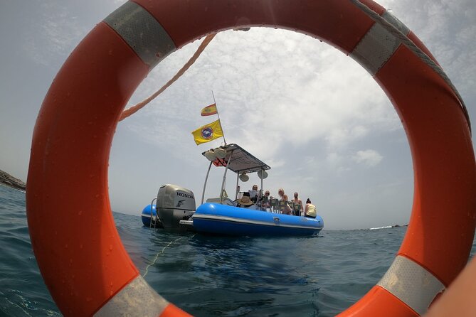 SEA SAFARI, Dolphins, Whales, snorkeling, snack and drink, 2 h speedboat - Who This Sea Safari Fits Best