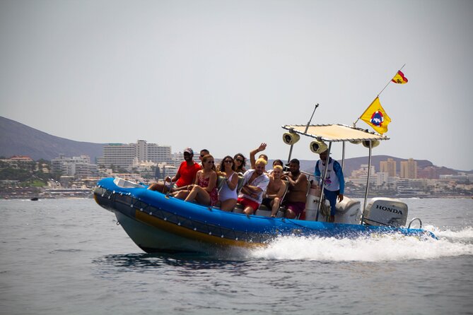 SEA SAFARI Dolphins,Whales, snorkeling, snack, drink, 3h private - Private Sea Safari vs. Big Cruises: Why This One Feels Better