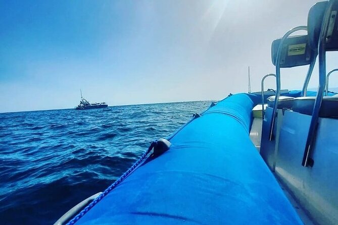 SEA SAFARI Dolphins,Whales, snorkeling, snack, drink, 3h private - Snacks and Soft Drinks on Board: Small Things That Keep the Mood Right