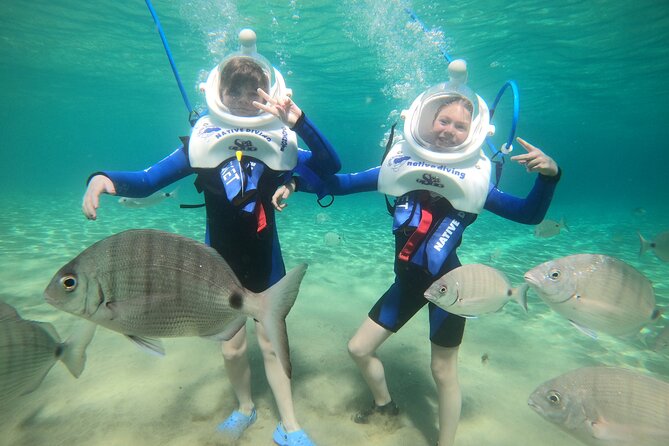 Sea Trek Underwater Walk in Tenerife – No Swimming Required - The underwater walk itself: the entry, the view, and the fish