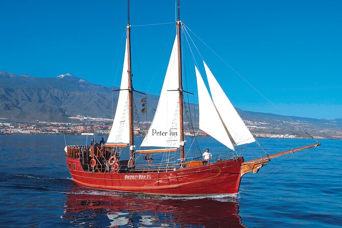 Sealife Dolphin & Whale Watching aboard Portuguese schooner - Crew, family energy, and how the day can feel