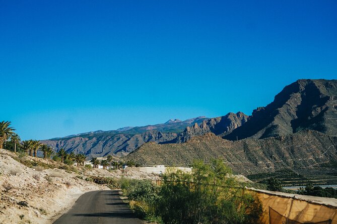 Secret Volcano Tour by Tuk Tuk in Costa Adeje - Key Highlights You Should Care About