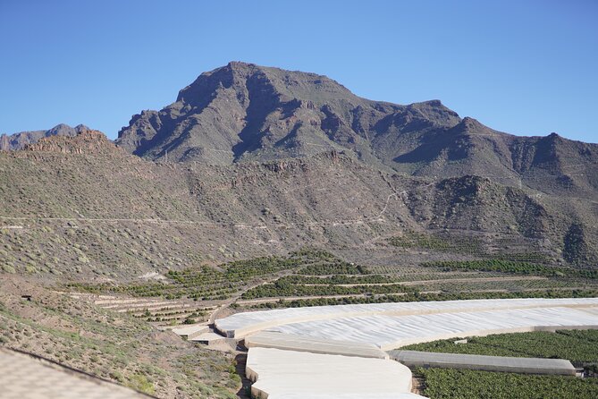 Secret Volcano Tour by Tuk Tuk in Costa Adeje - Banana Smoothie and the Farm-Shop Stop: Small but Useful