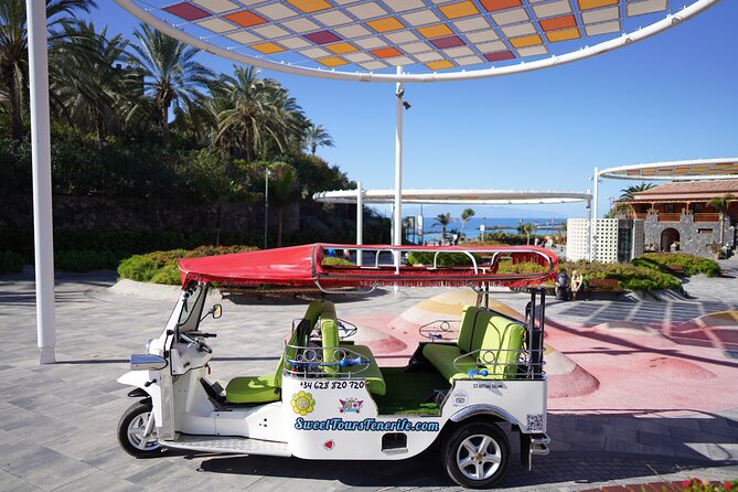 Secret Volcano Tour by Tuk Tuk in Costa Adeje - Meeting at Best Jacaranda and Choosing Group vs Private