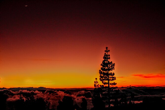 Self Drive Sunset & Stargazing in Teide National Park with Dinner - Dinner at Restaurante 7 Cañadas: A Canarian Meal Before the Stars
