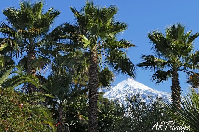 Skip the Line: Artlandya Admission Ticket in Tenerife - The Porcelain Doll Demonstration (and Why It Changes the Visit)