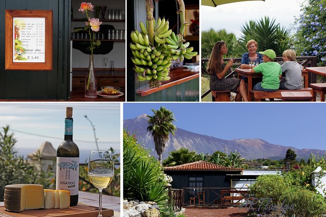 Skip the Line: Artlandya Admission Ticket in Tenerife - Time, Language, and Group Size: How It Fits a Tenerife Schedule