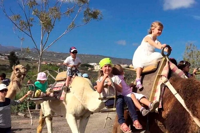 Skip the Line: Camel Park Tenerife Ticket - Skip-the-Line Priority at Camel Park Tenerife (and What It Changes)