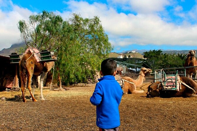 Skip the Line: Camel Park Tenerife Ticket - What Else Is Included: Farm Area and a Photo Exhibit