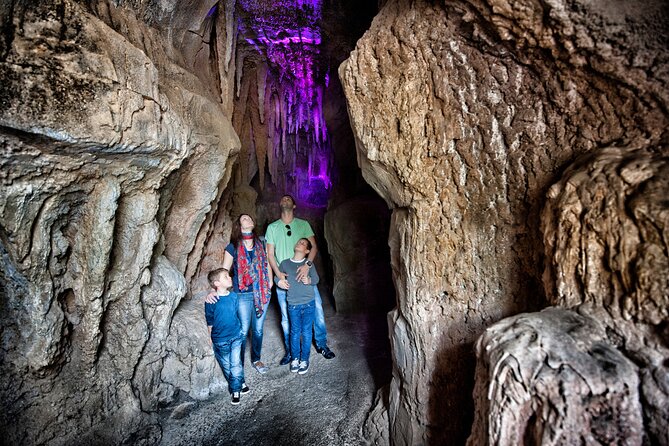 Skip the Line: Jungle Park Tenerife Entrance Ticket - The Jungle Forest Walk: Bridges, Shade, and Animal Viewing