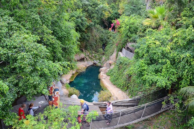 Skip the Line: Jungle Park Tenerife Entrance Ticket - The Shows That Matter Most: Bird-of-Prey and Sea Lions