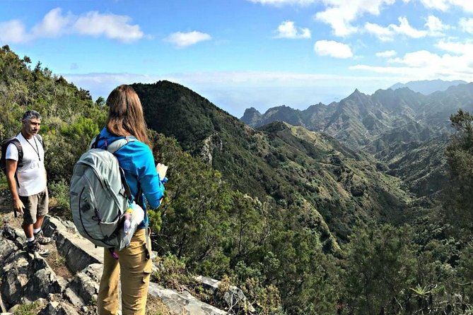 Small Group Guided Hiking in Anaga Rural Park in Tenerife - What to bring for a comfortable Anaga morning