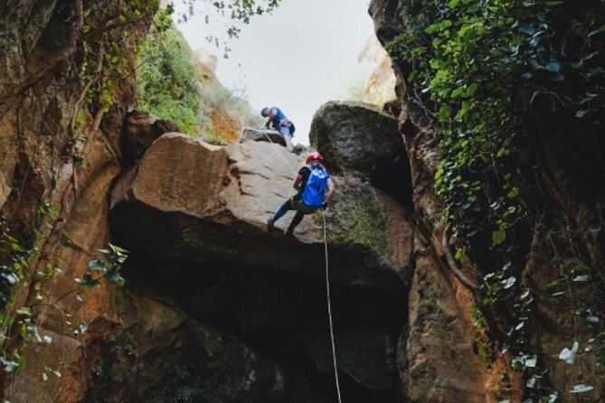 Small-Group Half-Day Canyoning in La Orotava - Who should book this canyoning day (and who shouldn’t)