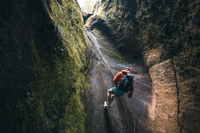 Small-Group Half-Day Canyoning in La Orotava - Price and value: $96.55 for a guided rope adventure