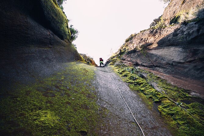 Small-Group Half-Day Canyoning in La Orotava - The half-day rhythm: 9:30 start, about 6 hours total