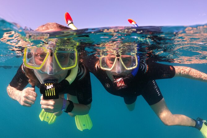 Small Group Snorkeling in Abades Bay with Licensed Guide - Entering Abades Bay: where the day starts at 9:00 am