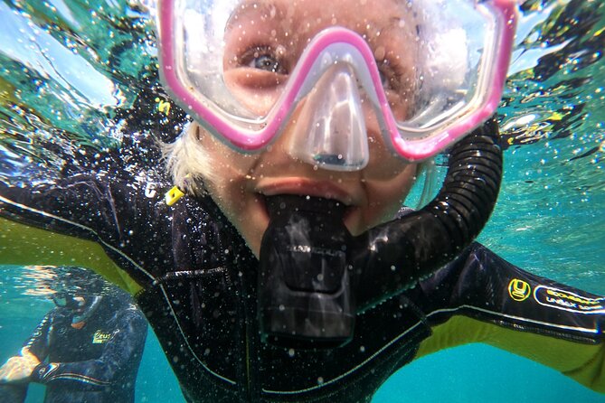 Small Group Snorkeling in Abades Bay with Licensed Guide - Your guided hour: what the licensed instructor actually does