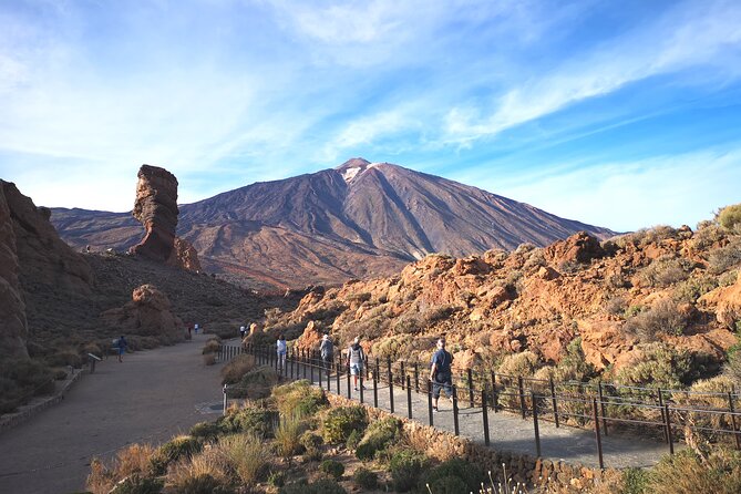 Small Group Teide National Park Volcanic and Forest Wonders - El Pino Gordo and the Vilaflor mirador: old trees, big views