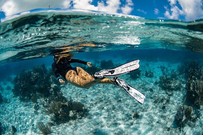 Snorkel Rental 24h, discover Tenerifes Ocean on your own! - Key Highlights You’ll Care About