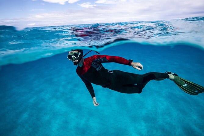 Snorkel Rental 24h, discover Tenerifes Ocean on your own! - Choosing Your Snorkeling Plan Once You’re in Radazul