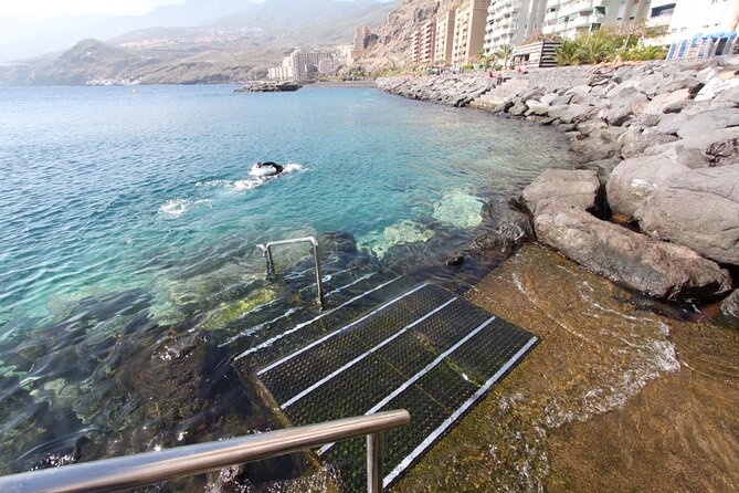 Snorkel Rental 24h, discover Tenerifes Ocean on your own! - Price and Value: Is $22.64 Worth It?