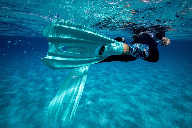 Snorkel Rental 24h, discover Tenerifes Ocean on your own! - Who This Snorkel Rental Fits Best