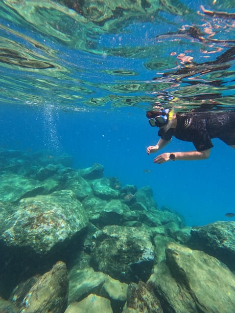 Snorkeling Boat Trip in Marine Turtles Natural Habitat - Key things I’d circle before you book