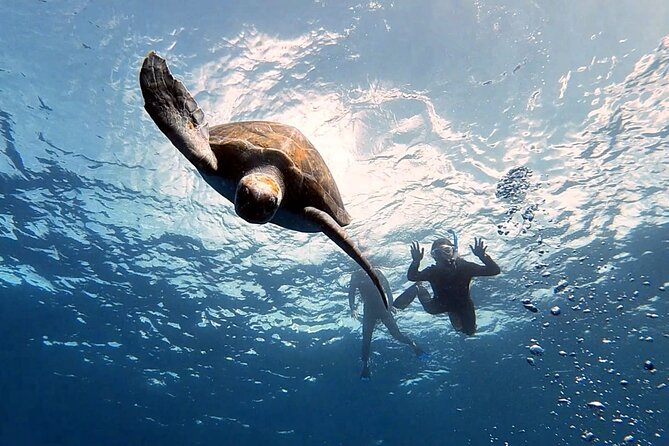 Snorkeling excursion in the Rayas and Turtles Zone - Rayas and Turtles Zone snorkeling: what makes it special